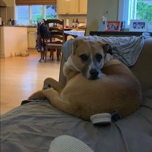 Meet your Posher, Cheryl